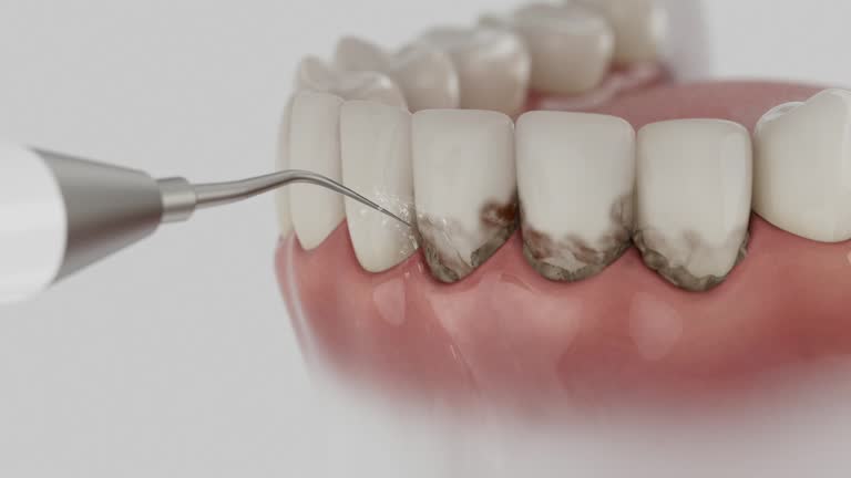 Reliable Dental contractor in Royal Oak, MI by Dentist Open Now